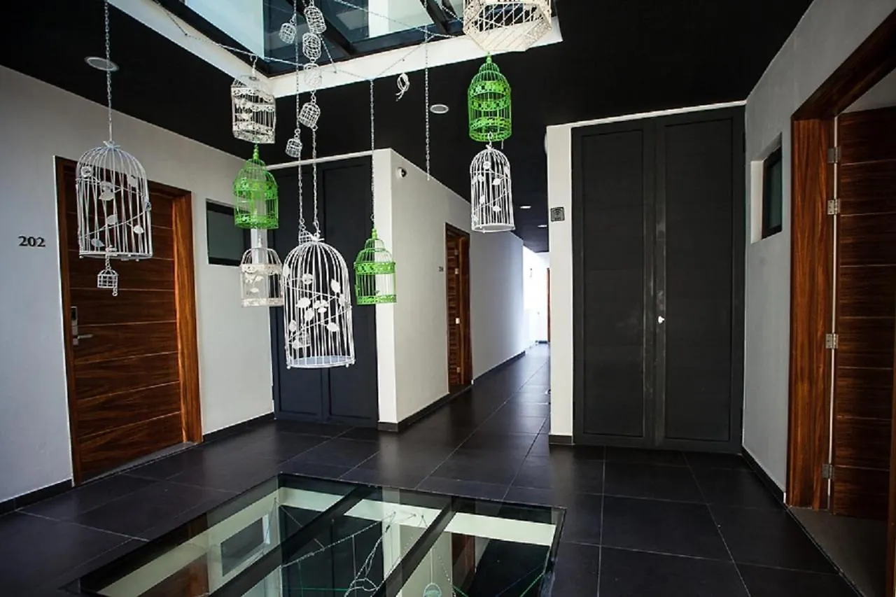 Mow Midtown Hotel & Residences Πλάγια Ντελ Κάρμεν Μεξικό
